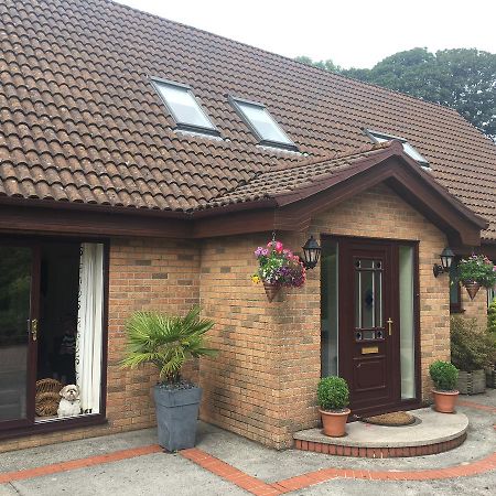 The Firs - Englefied Studio Bed & Breakfast ดักลาส ภายนอก รูปภาพ