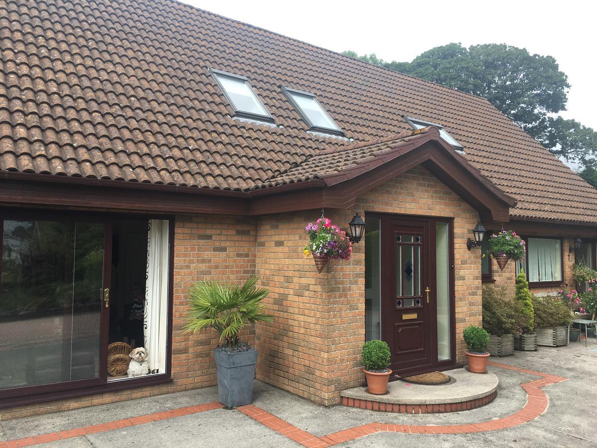 The Firs - Englefied Studio Bed & Breakfast ดักลาส ภายนอก รูปภาพ